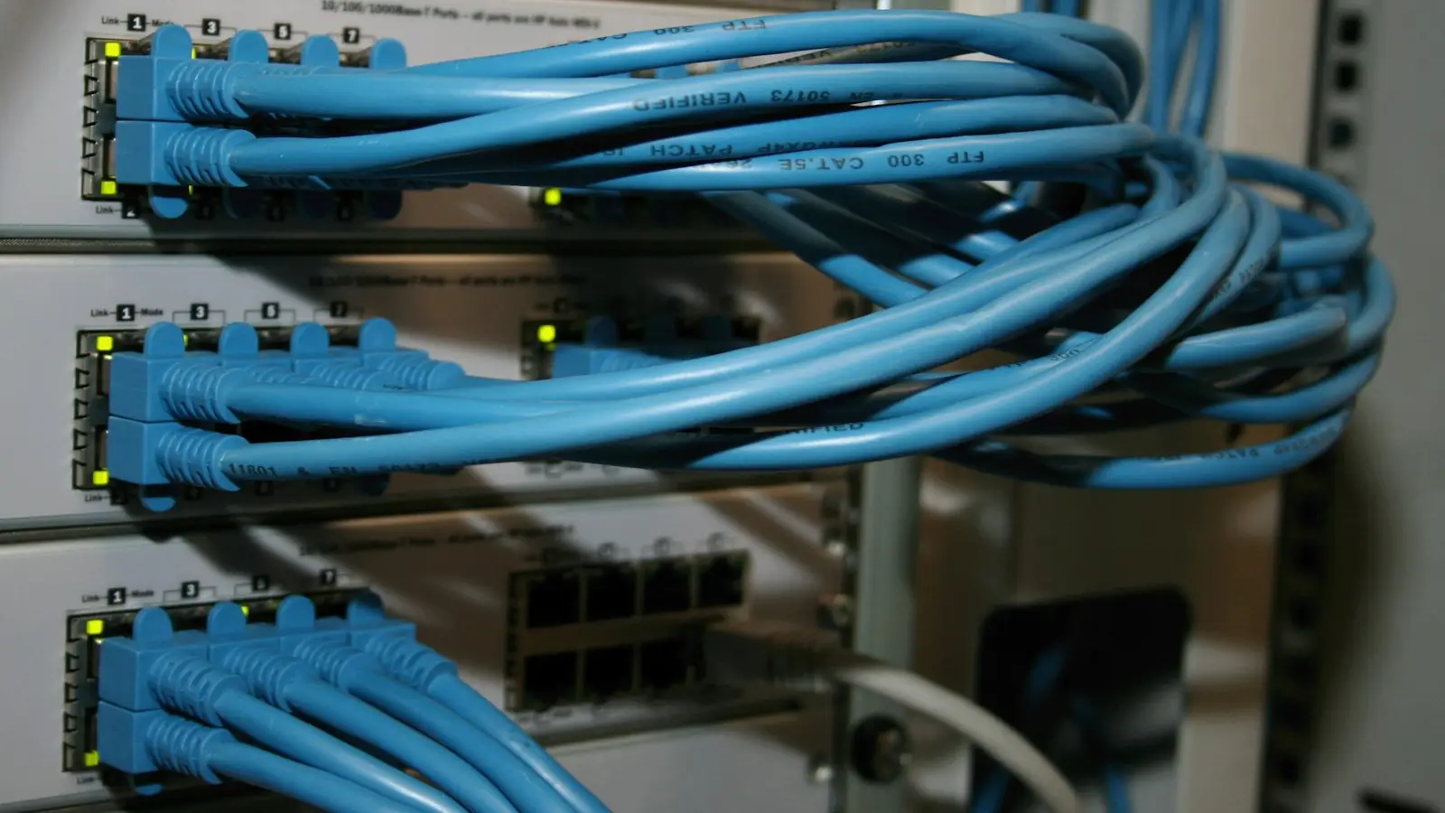 A bundle of blue network cables on a switch rack
