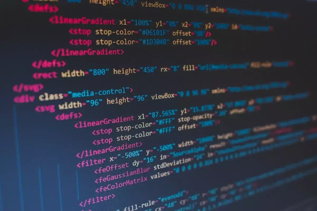 Back End Developer