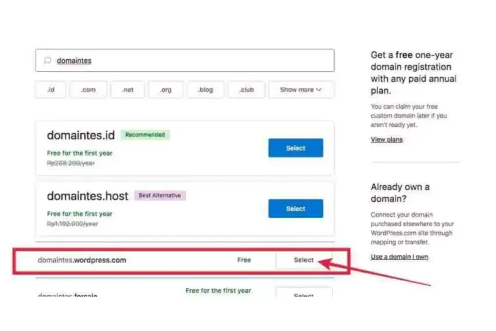 Pilih domain di WordPress saat membuat blog