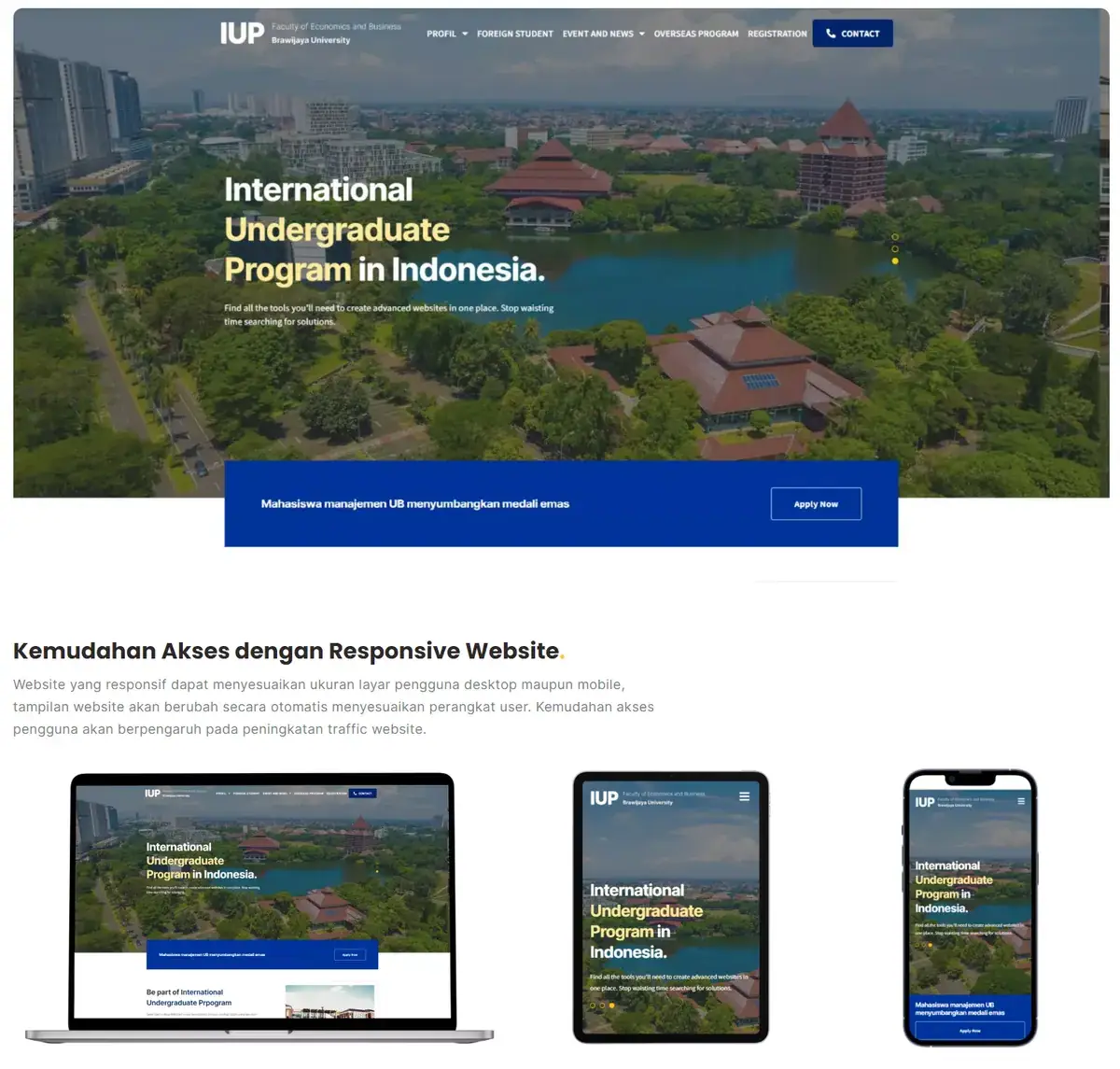 contoh portofolio UI/UX designer