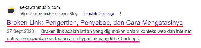 tampilan meta title dan meta description pada SERP