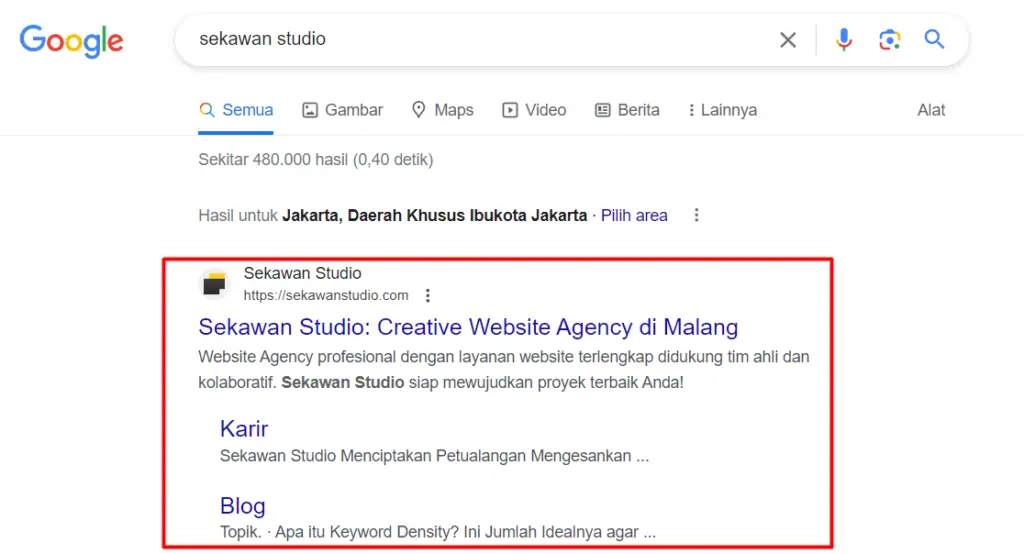 Tampilan organic search di SERP
