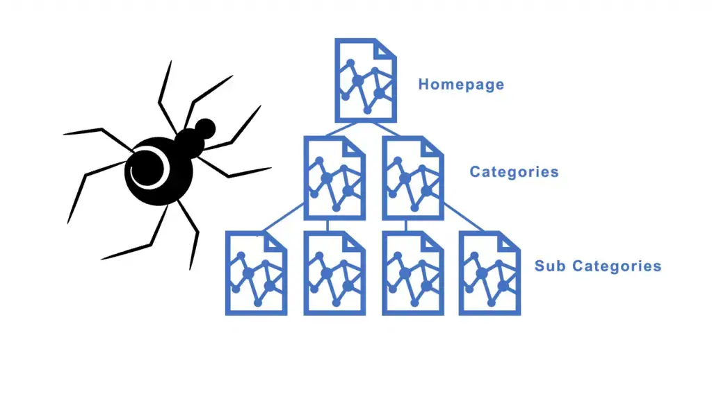 spider crawling website concept