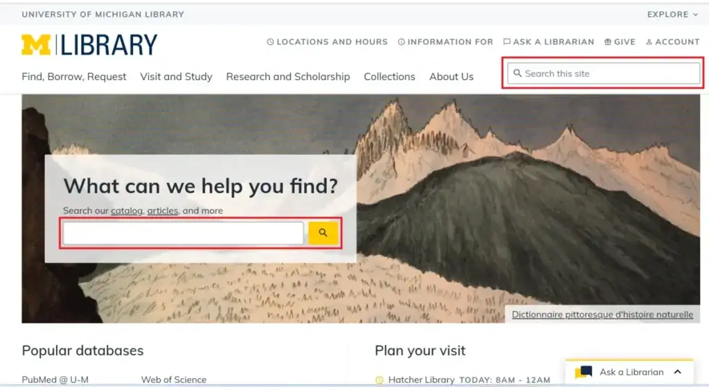 contoh search bar yang mismatch dengan mental model