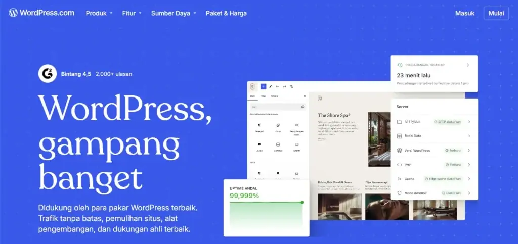 CMS WordPress