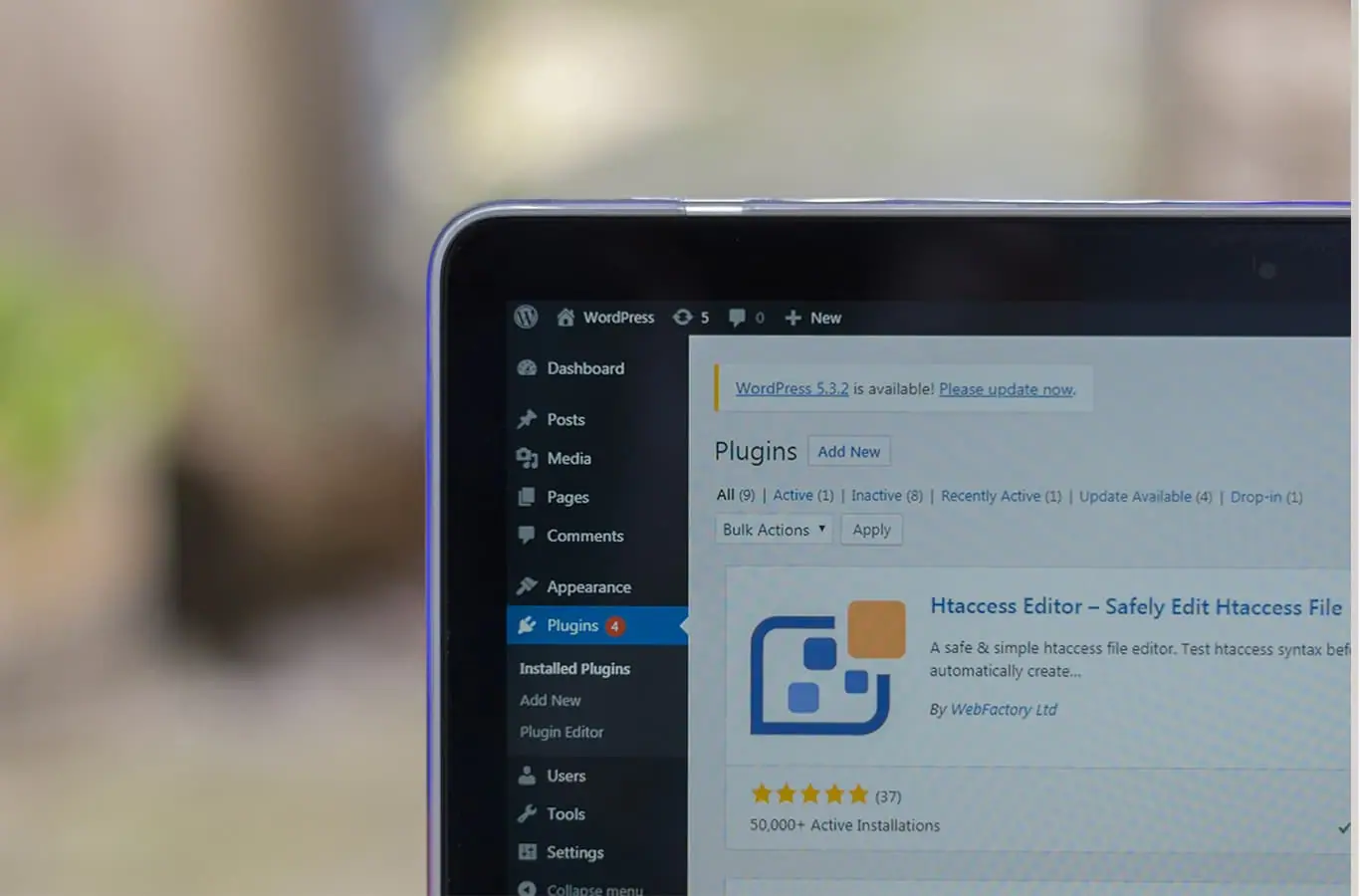 Wordpress Developer