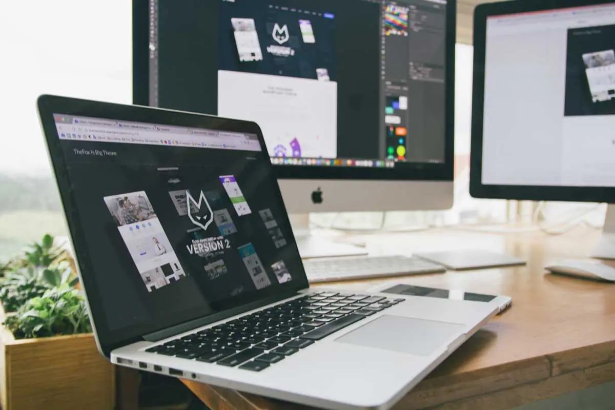 ui ux designer